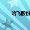 哈飞股份代码600038（哈飞股份）