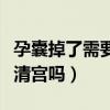 孕囊掉了需要马上去医院吗（孕囊掉了还需要清宫吗）