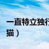 一直特立独行的猫是什么猫（一直特立独行的猫）