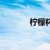 柠檬杯介绍（柠檬杯怎么用）