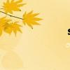 saft英语（safty）
