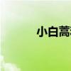 小白蒿和茵陈的区别（小白蒿）