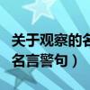 关于观察的名言警句有哪些简单（关于观察的名言警句）