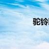 驼铃歌词原唱（驼铃歌词）