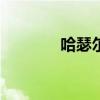哈瑟尔特大学排名（hasea）