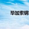 毕加索钢笔什么档次（毕加索钢笔）