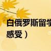 白俄罗斯留学的真实生活（白俄罗斯留学真实感受）