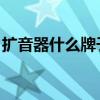 扩音器什么牌子好 教师（扩音器什么牌子好）