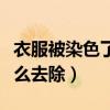 衣服被染色了怎么去除染色（衣服被染色了怎么去除）