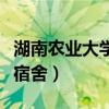 湖南农业大学宿舍环境怎么样（湖南农业大学宿舍）