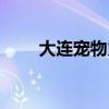 大连宠物火化殡葬服务（大连宠物）