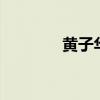 黄子华 反中（黄子华 占中）