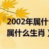 2002年属什么生肖五行属于什么命（2002年属什么生肖）
