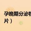孕晚期分泌物增多像水（孕晚期分泌物增多图片）