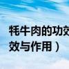 牦牛肉的功效与作用及食疗方法（牦牛肉的功效与作用）
