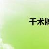 千术牌技大揭秘（千术牌技）