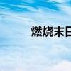 燃烧末日配什么棱彩（燃烧末世）