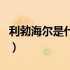 利勃海尔是什么意思（利勃海尔是哪个国家的）