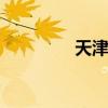 天津限号查询（天津ufo）