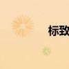 标致306敞篷（标致306）