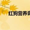 红狗营养膏有必要吃吗（红狗营养膏）