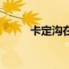 卡定沟在西藏什么地方(卡定沟) 卡定沟在西藏什么地方(卡定沟)