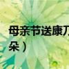 母亲节送康乃馨几朵合适（母亲节送康乃馨几朵）