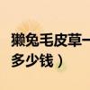 獭兔毛皮草一般多少钱一件（獭兔毛皮草一般多少钱）