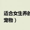 适合女生养的小型宠物猫（适合女生养的小型宠物）
