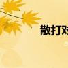 散打对战泰拳(散打vs泰拳) 散打对战泰拳(散打vs泰拳)