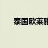 泰国欧莱雅洗面奶价格（泰国欧莱雅）