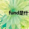 fund是什么意思中文翻译（fundxy）
