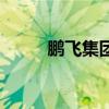 鹏飞集团最新宣传片（鹏飞计划）