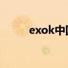 exok中国采访（exo k新浪访谈）