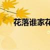 花落谁家花无主cp（花落谁家花无主）