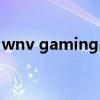 wnv gaming战队成员资料（wnv gaming）