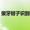 拔牙钳子识别图解教程(拔牙钳子识别图解) 拔牙钳子识别图解教程(拔牙钳子识别图解)