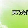 贾乃亮作品电视剧（贾乃亮作品）