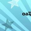 oa功能（oa设备是什么）