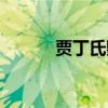 贾丁氏鹦鹉寿命(贾丁氏鹦鹉) 贾丁氏鹦鹉寿命(贾丁氏鹦鹉)