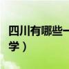 四川有哪些一本大学名单（四川有哪些一本大学）