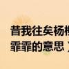 昔我往矣杨柳依依今我来思雨雪霏霏的意思（霏霏的意思）