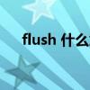 flush 什么意思（flushed是什么意思）