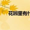 花园里有什么花朵（花园里有什么花）