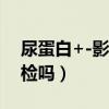 尿蛋白+-影响事业编吗（尿蛋白影响入职体检吗）