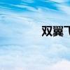 双翼飞机怎么折（双翼飞机）