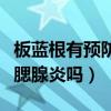 板蓝根有预防腮腺炎的作用吗（板蓝根能预防腮腺炎吗）