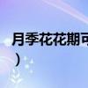月季花花期可以施磷酸二氢钾吗（月季花花期）