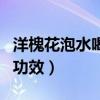 洋槐花泡水喝的功效与禁忌（洋槐花泡水喝的功效）