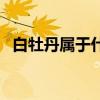 白牡丹属于什么茶（白毫银针属于什么茶）